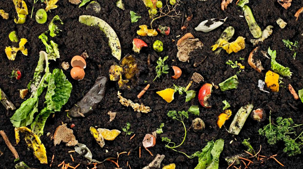 FireShot Capture 528 – Compost-cespednatural.info_-1024×576.jpg (1024×576) – [tipsdereciclaje.com]